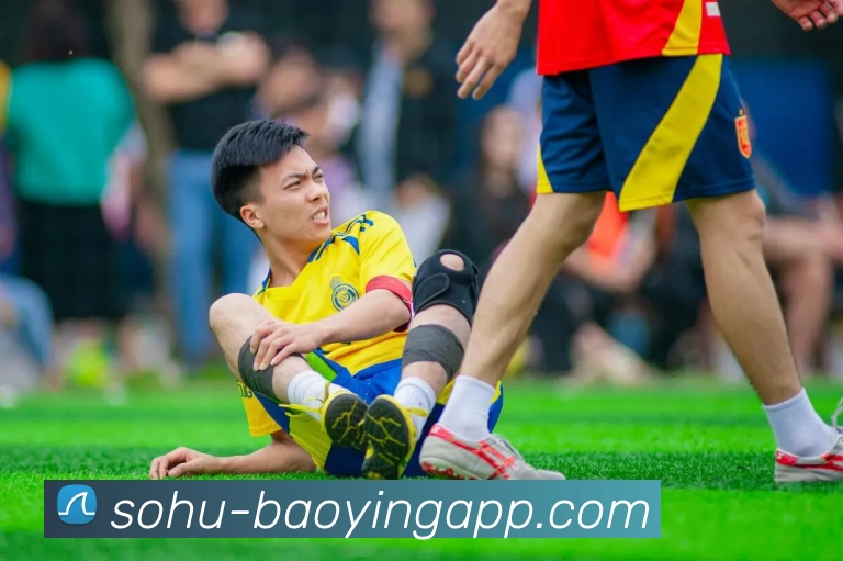 BBIN真人APP 封面图